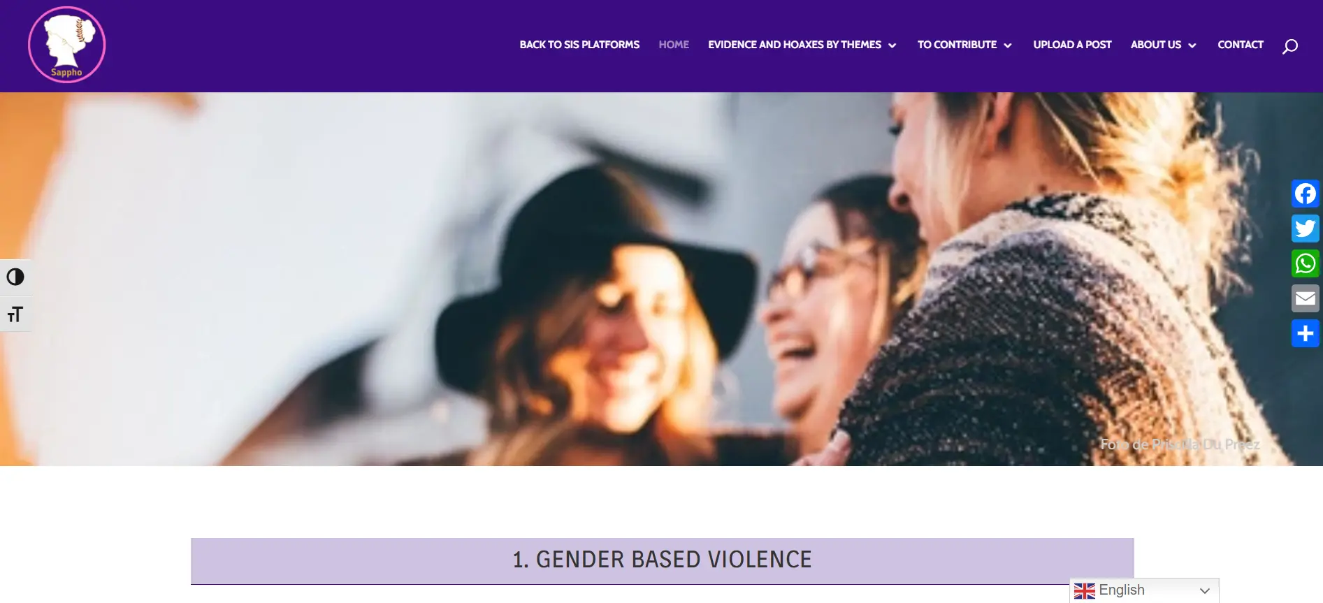 Social Impact Science Gender website banner